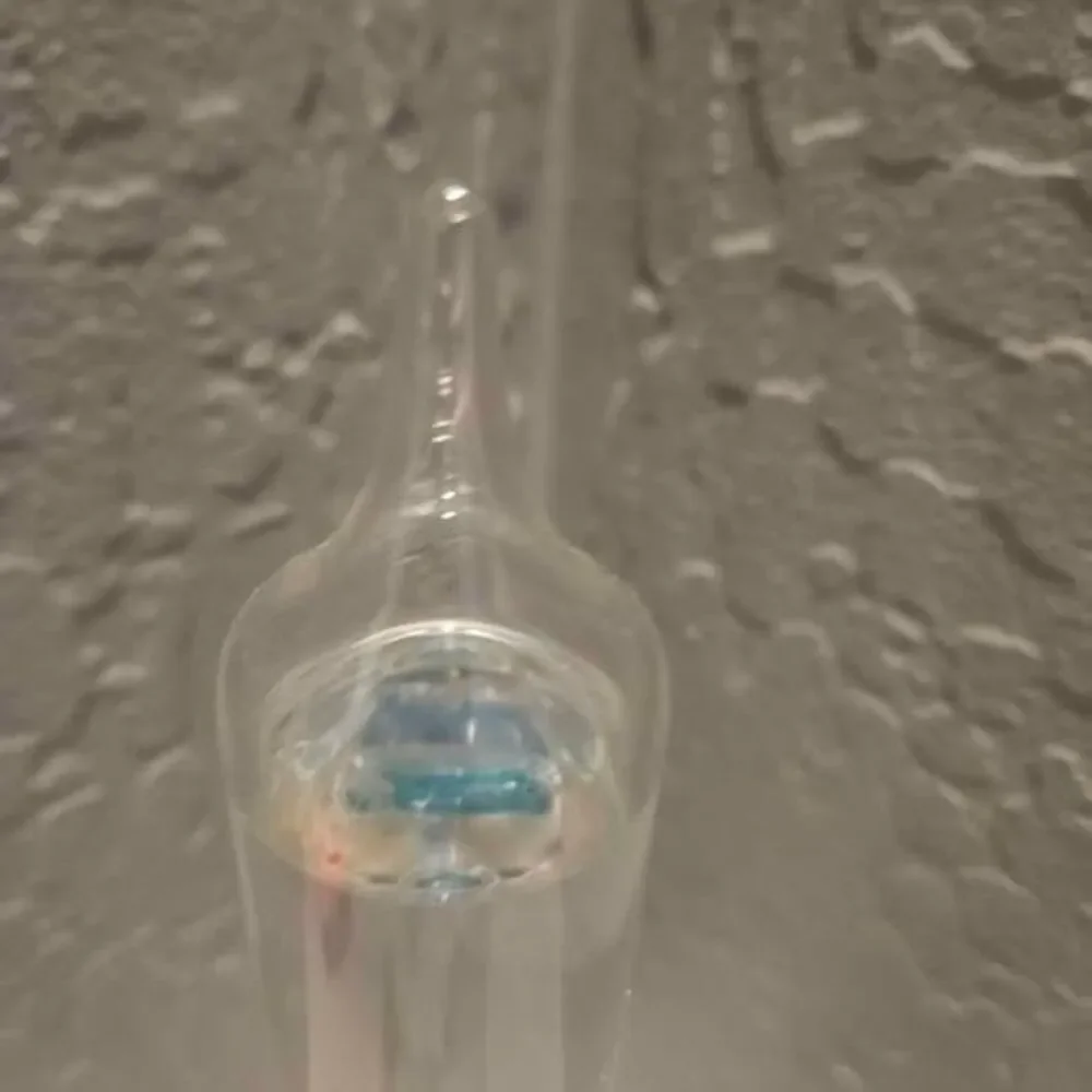Galileo Thermometer